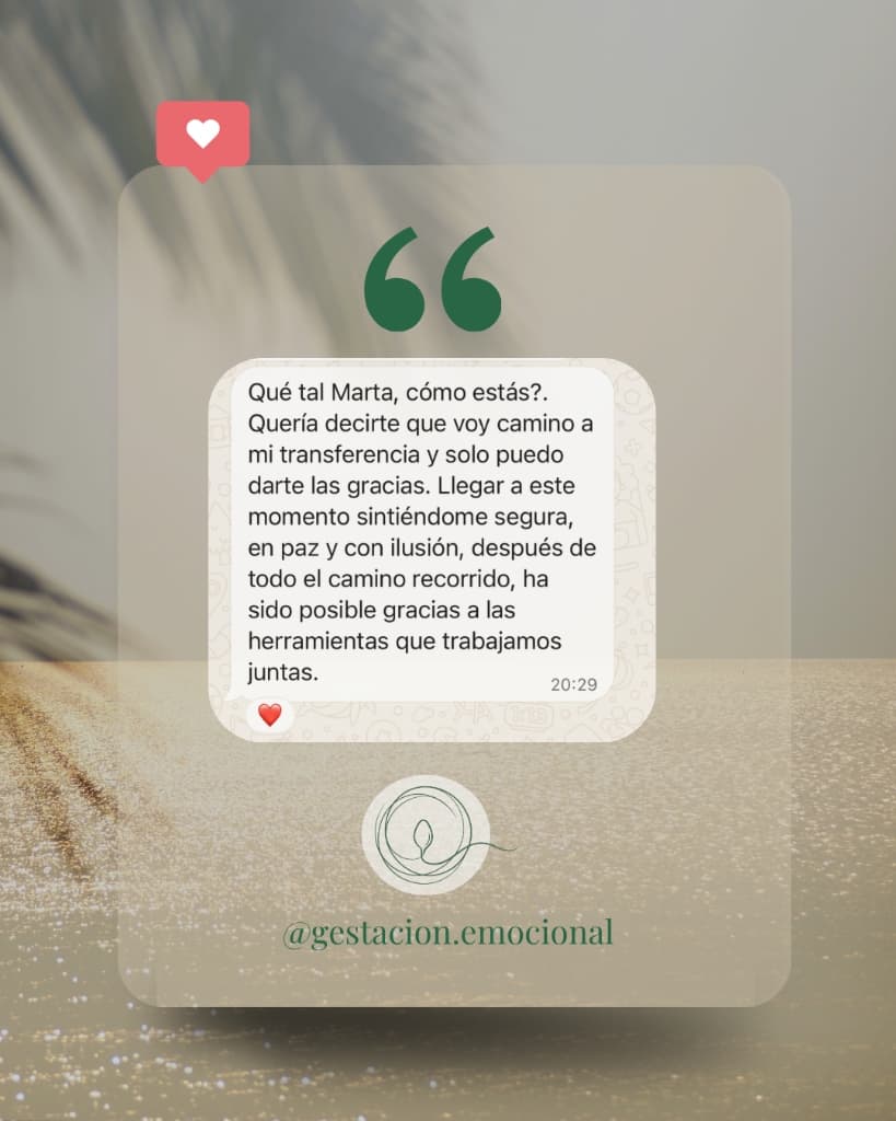 Testimonio 1