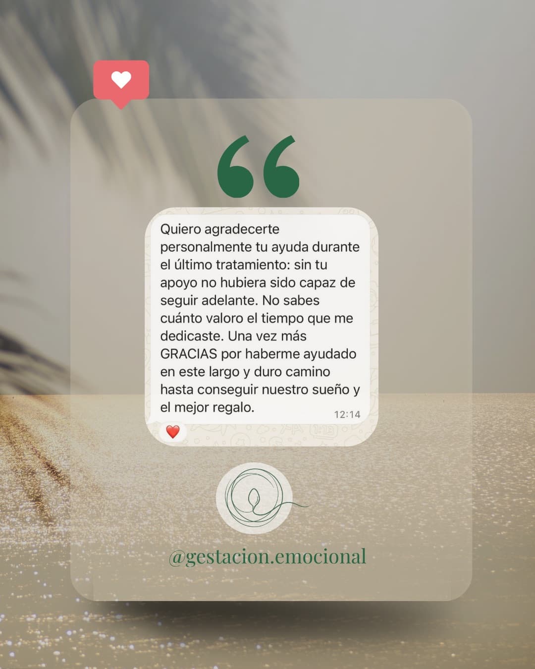 Testimonio 6
